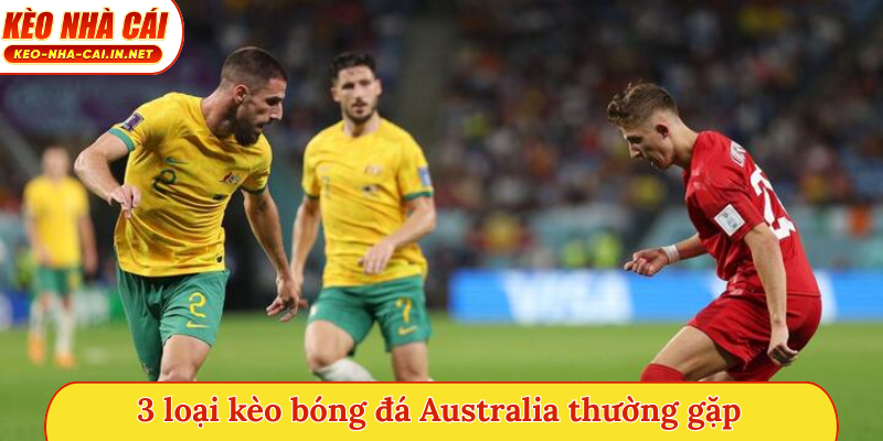 3 loại kèo bóng đá Australia thường gặp