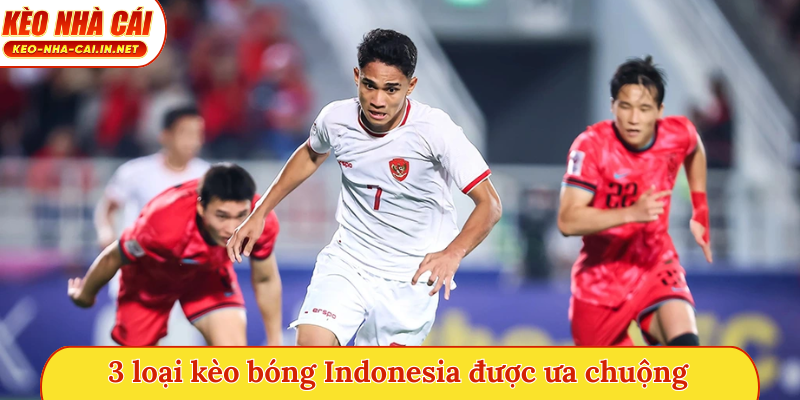 3 loại kèo bóng Indonesia được ưa chuộng