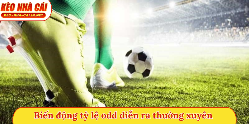 Biến động tỷ lệ odd diễn ra thường xuyên