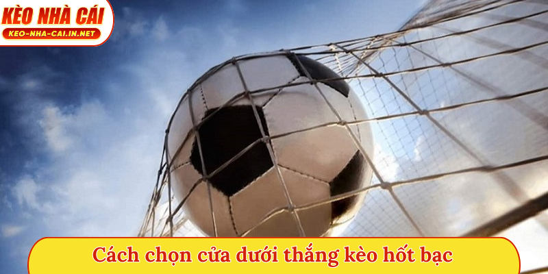 Cách chọn cửa dưới thắng kèo hốt bạc