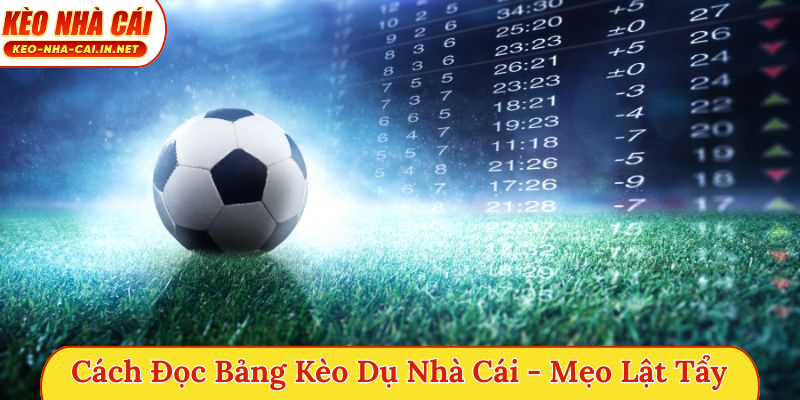 Cách đọc bảng kèo dụ nhà cái
