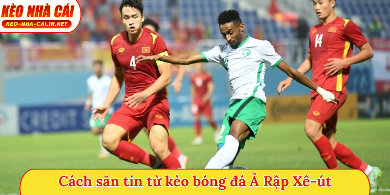 Cách săn tin từ kèo bóng đá Ả Rập Xê-út