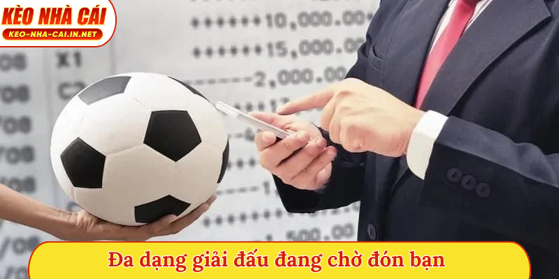 Đa dạng giải đấu đang chờ đón bạn