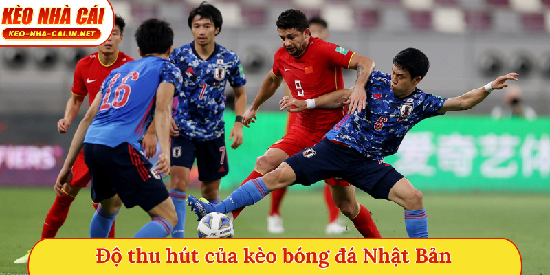 Độ thu hút của kèo bóng đá Nhật Bản