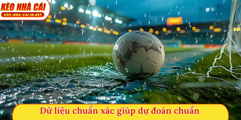 Dữ liệu chuẩn xác giúp dự đoán chuẩn