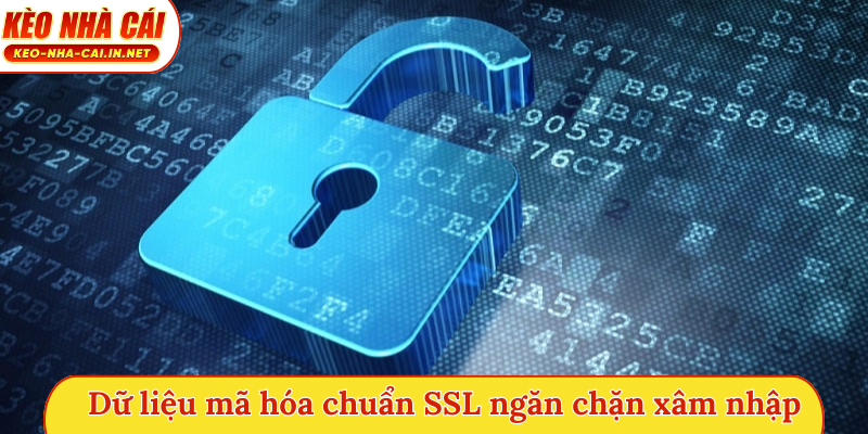 Dữ liệu mã hóa chuẩn SSL ngăn chặn xâm nhập