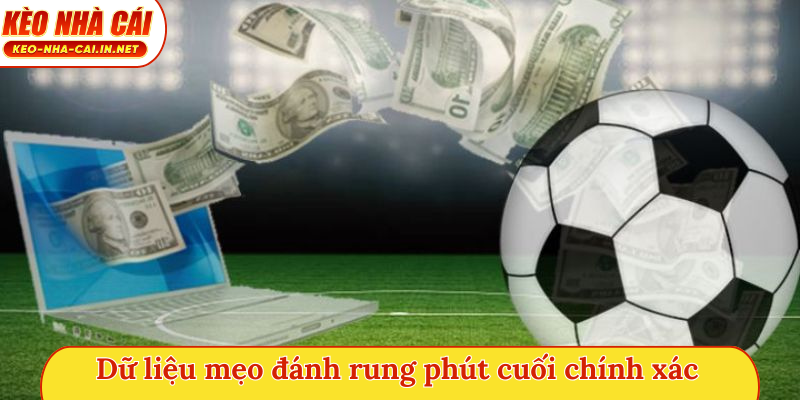 Dữ liệu mẹo đánh rung phút cuối chính xác