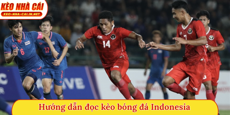 Hướng dẫn đọc kèo bóng đá Indonesia