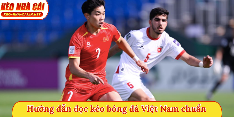 Hướng dẫn đọc kèo bóng đá Việt Nam chuẩn chỉnh