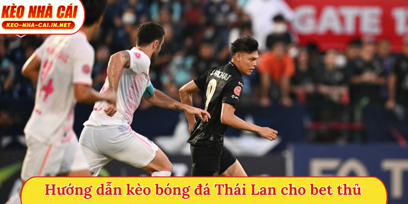 Hướng dẫn kèo bóng đá Thái Lan cho bet thủ