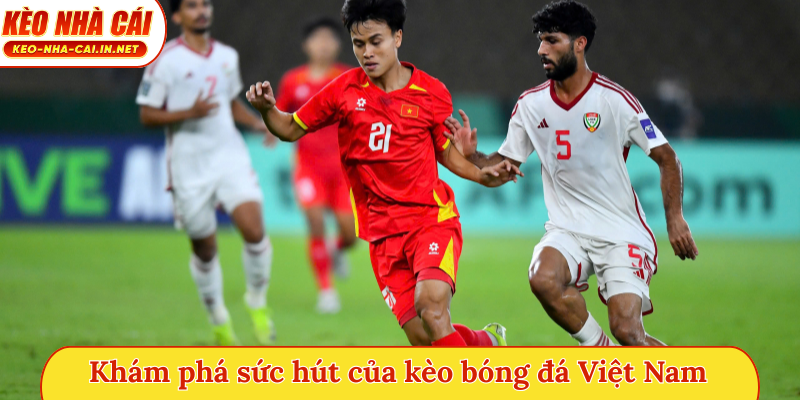 Khám phá sức hút của kèo bóng đá Việt Nam