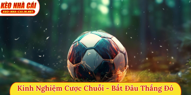 Kinh nghiệm cược chuỗi