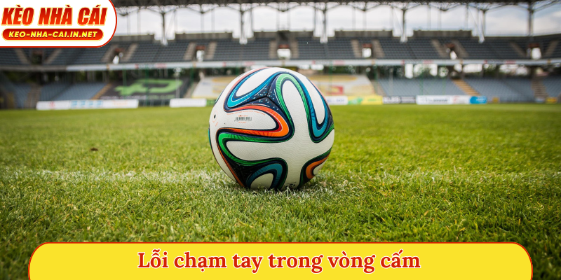 Lỗi chạm tay trong vòng cấm