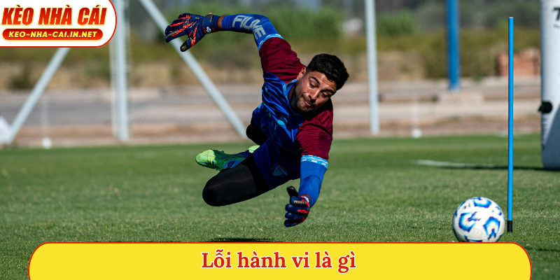 Lỗi hành vi là gì, Misconduct là gì