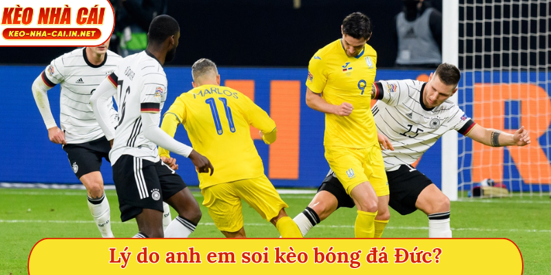 Lý do anh em soi kèo bóng đá Đức?