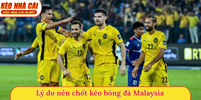 Lý do nên chốt kèo bóng đá Malaysia