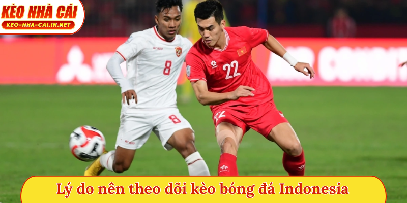 Lý do nên theo dõi kèo bóng đá Indonesia