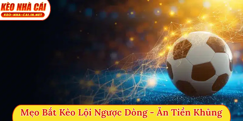 Mẹo bắt kèo lội ngược dòng