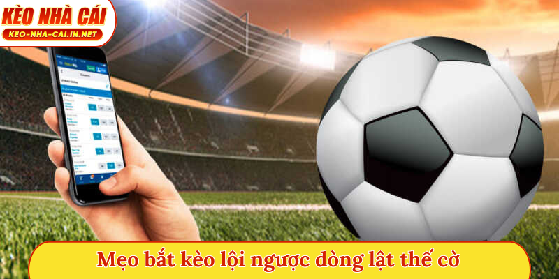 Mẹo bắt kèo lội ngược dòng lật thế cờ