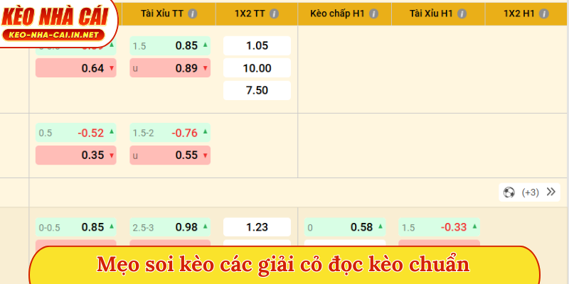 Mẹo soi kèo các giải cỏ đọc kèo chuẩn