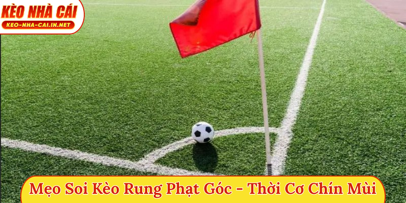 Mẹo soi kèo rung phạt góc