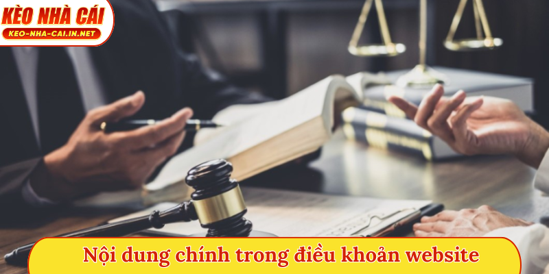 Nội dung chính trong điều khoản website