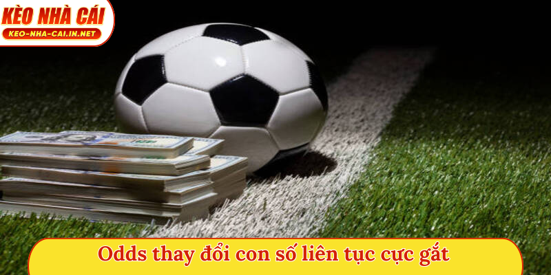 Odds thay đổi con số liên tục cực gắt