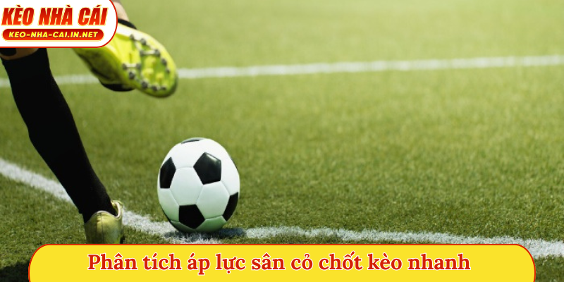 Phân tích áp lực sân cỏ chốt kèo nhanh