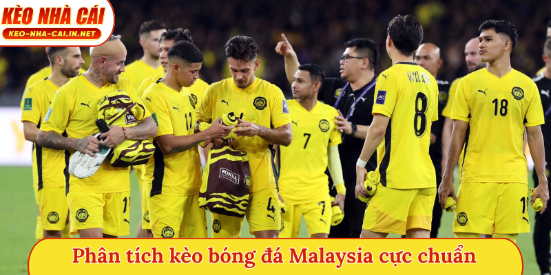 Phân tích kèo bóng đá Malaysia cực chuẩn