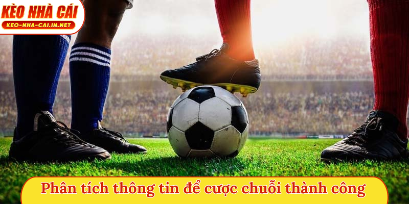 Phân tích thông tin để cược chuỗi thành công