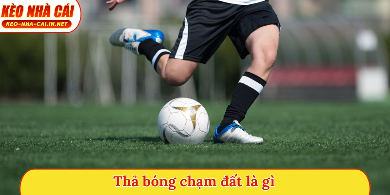 Thả bóng chạm đất là gì