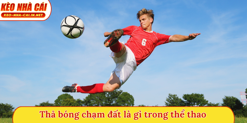 Thả bóng chạm đất là gì trong thể thao