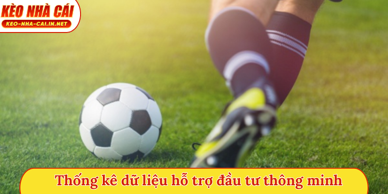 Thống kê dữ liệu hỗ trợ đầu tư thông minh