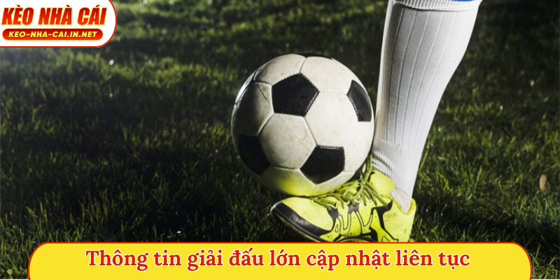 Thông tin giải đấu lớn cập nhật liên tục